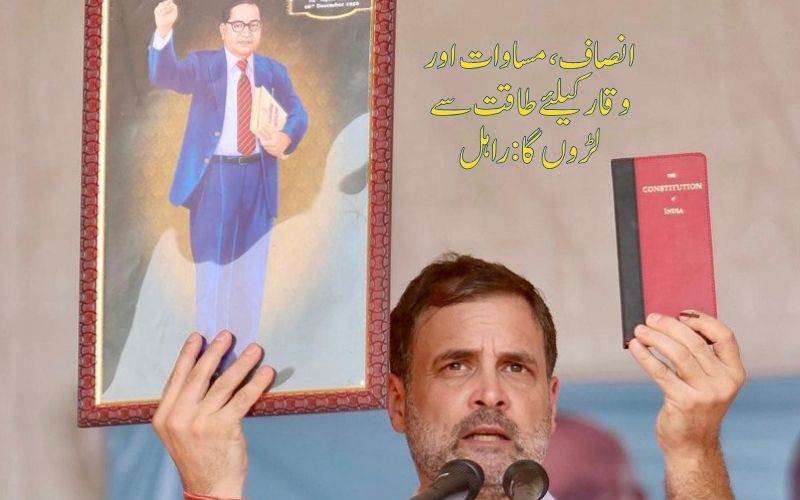 بابا صاحب کے نظریات کی حفاظت کے لیے آخری سانس تک لڑوں گا: راہل گاندھی